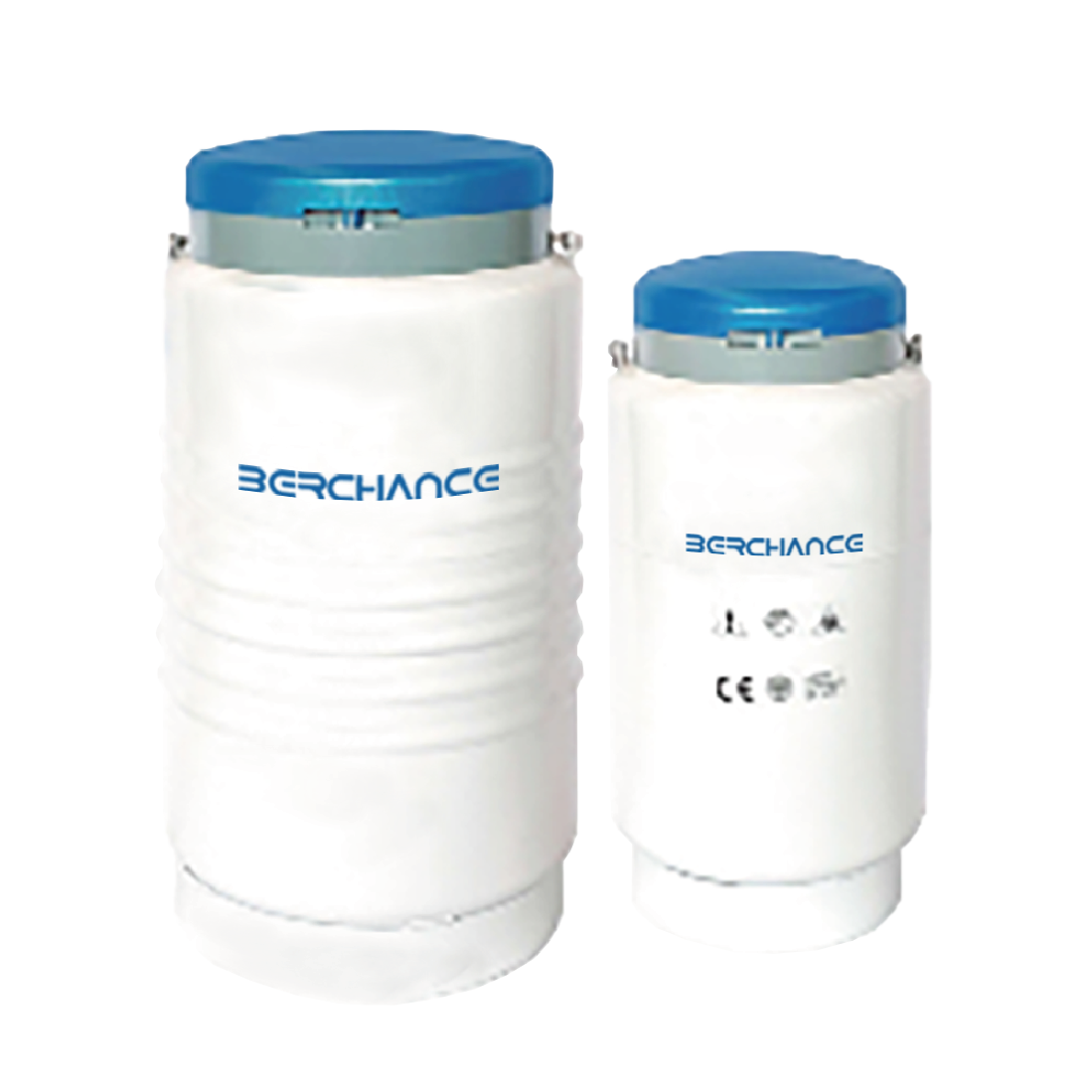 LN2 Cryogenic Transport (Vapor Phase Storage)